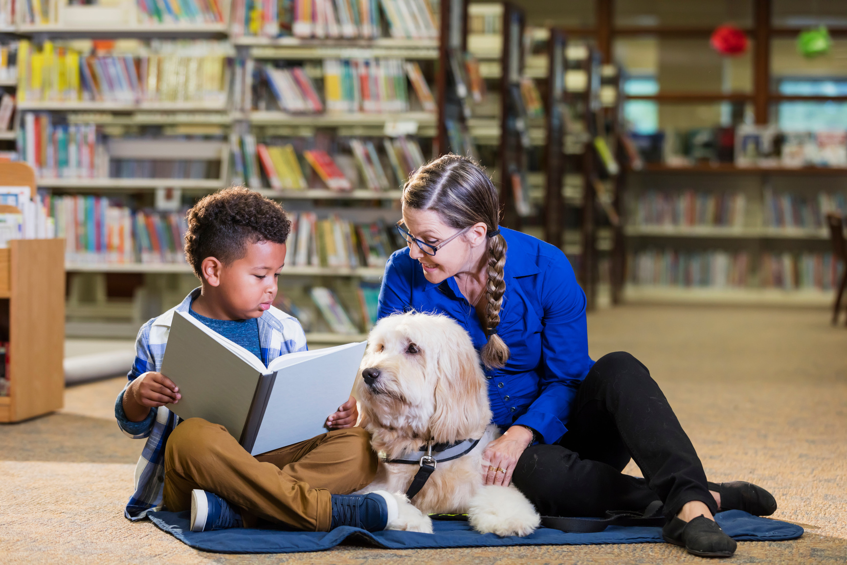 Mixed race boy reading in library with therapy dog